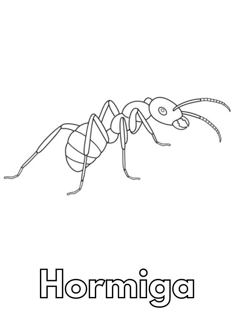 Dibujos para colorear e imprimir Ant