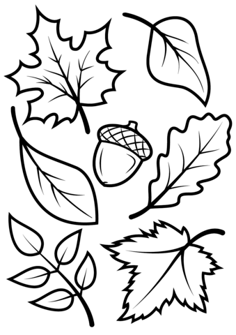 Dibujos para colorear e imprimir Autumn Leaves