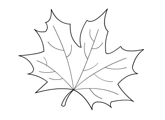 Dibujos para colorear e imprimir Autumn Leaves