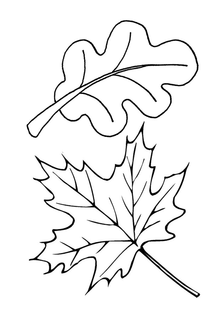 Dibujos para colorear e imprimir Autumn Leaves