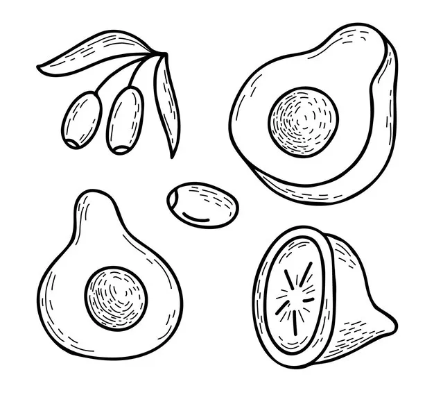 Avocado coloring page 14