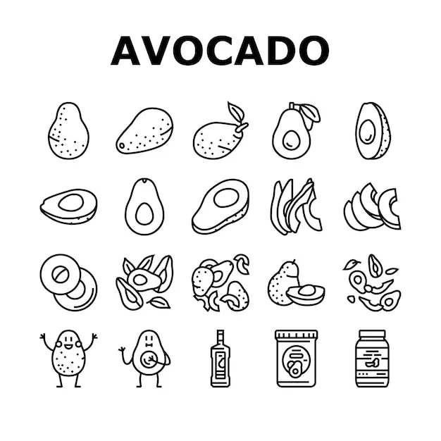 Dibujos para colorear e imprimir Avocado