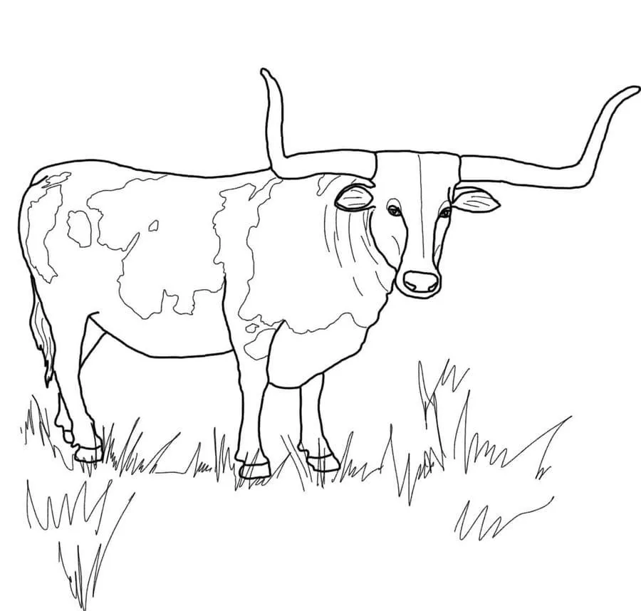 Dibujos para colorear e imprimir Bull