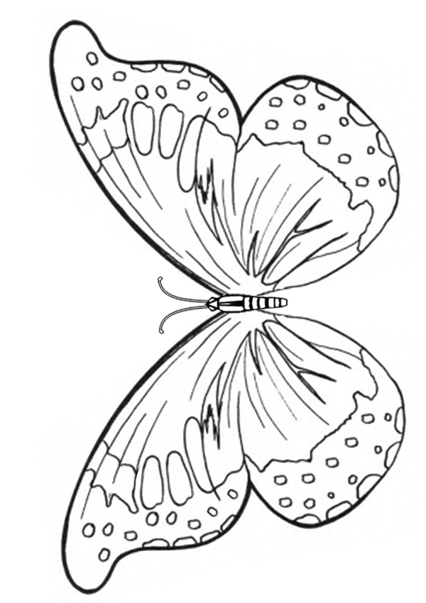 Dibujos para colorear e imprimir Butterflies