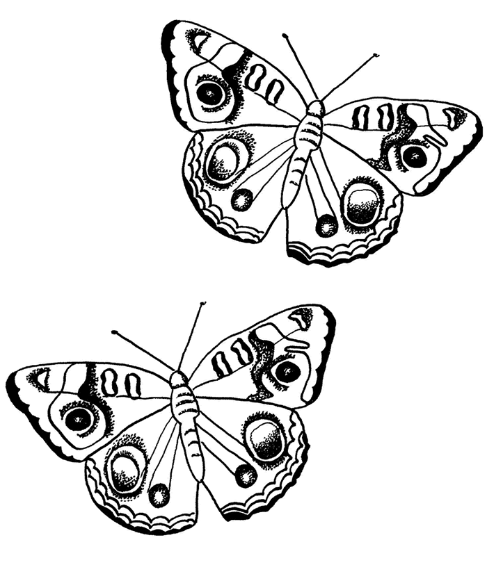 Dibujos para colorear e imprimir Butterflies