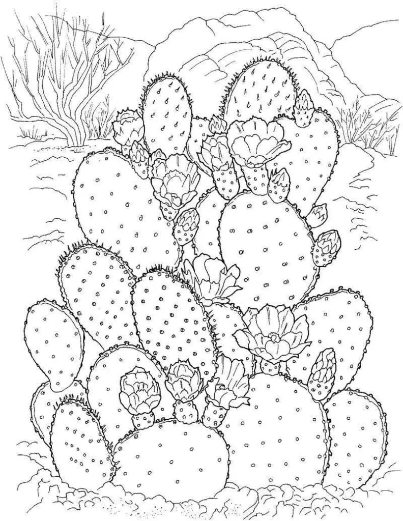 Dibujos para colorear e imprimir Cactus