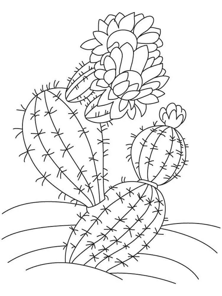 Dibujos para colorear e imprimir Cactus