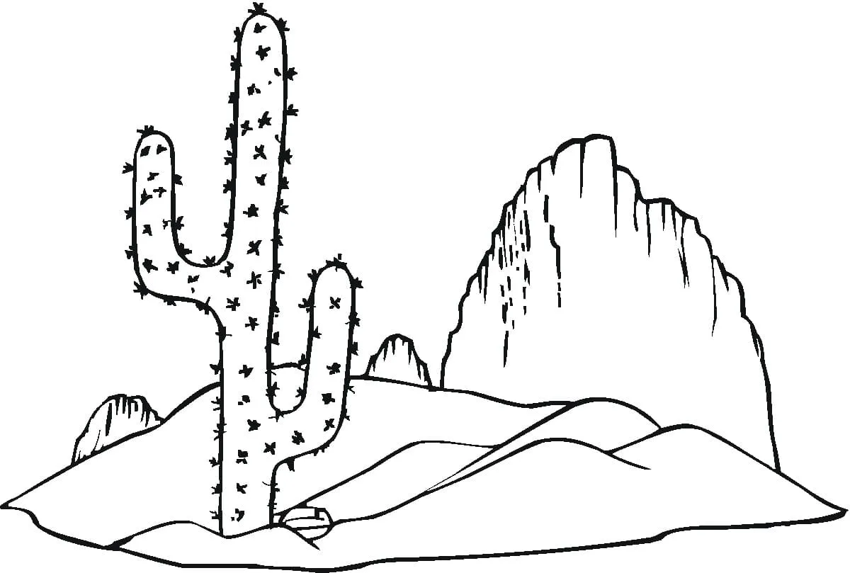 Dibujos para colorear e imprimir Cactus