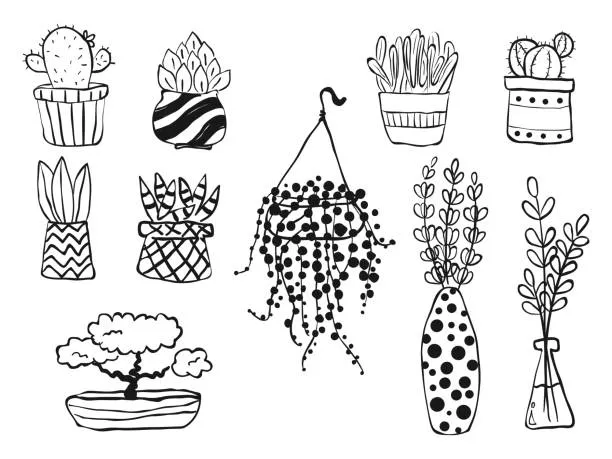 Dibujos para colorear e imprimir Cactus