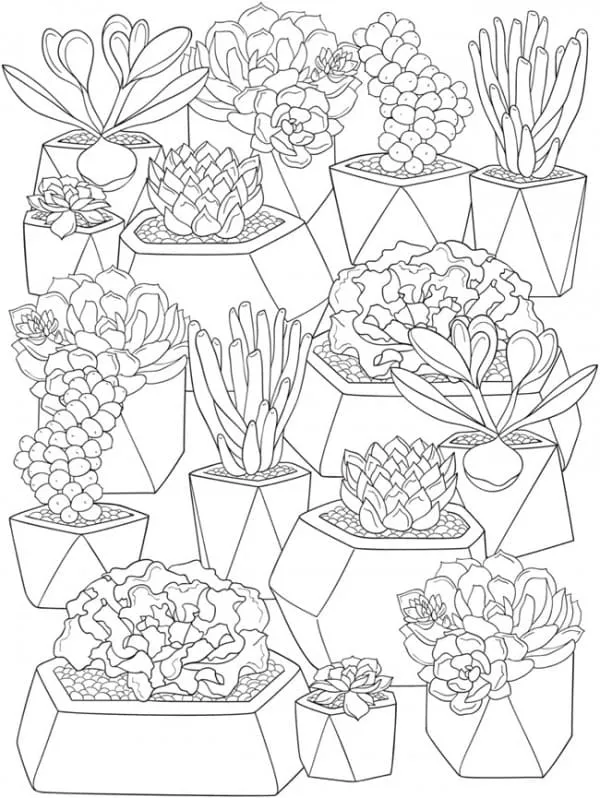 Dibujos para colorear e imprimir Cactus