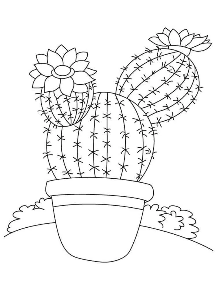 Dibujos para colorear e imprimir Cactus