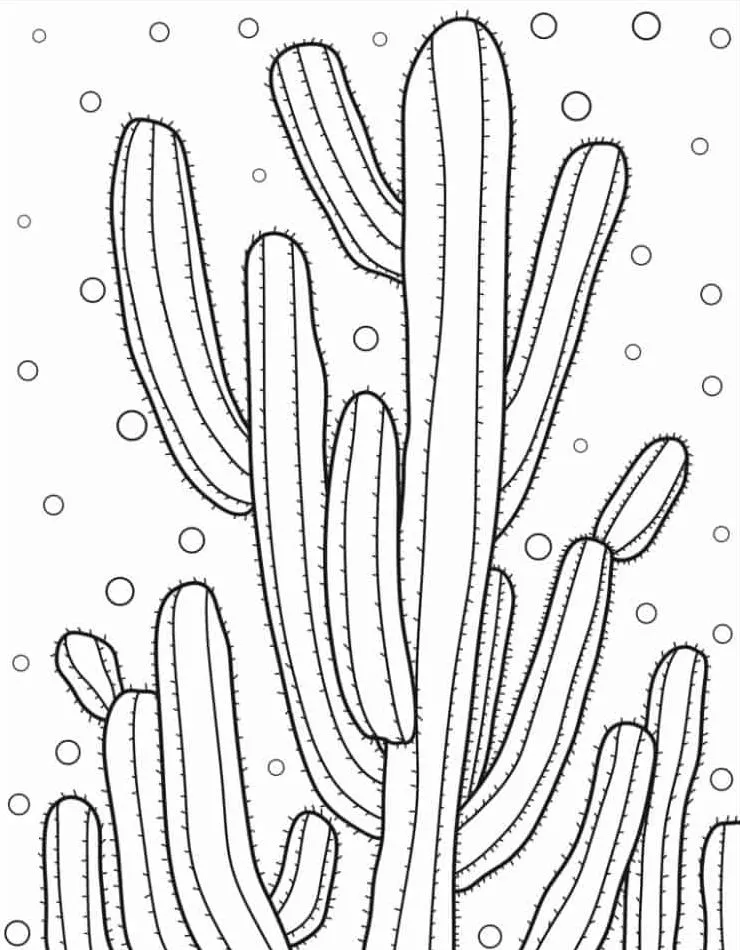 Dibujos para colorear e imprimir Cactus