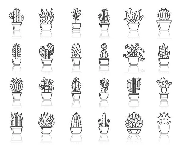 Dibujos para colorear e imprimir Cactus