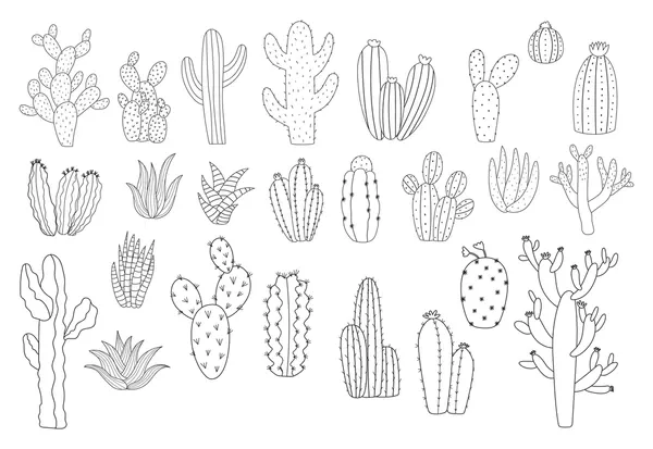 Dibujos para colorear e imprimir Cactus