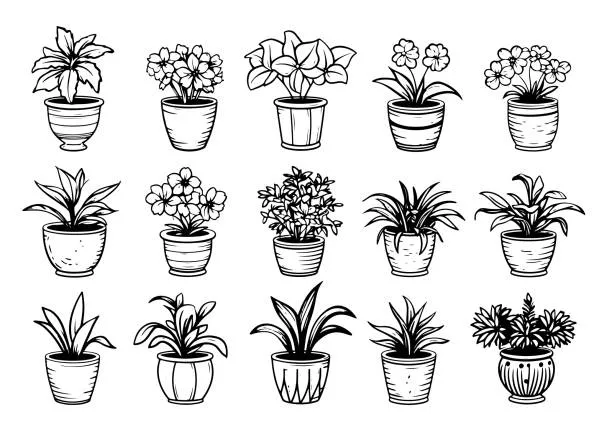 Dibujos para colorear e imprimir Cactus