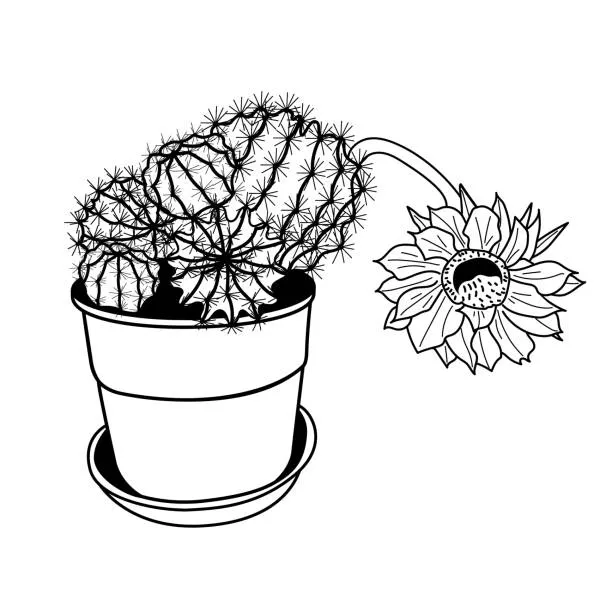 Dibujos para colorear e imprimir Cactus