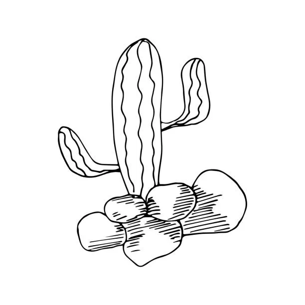 Dibujos para colorear e imprimir Cactus