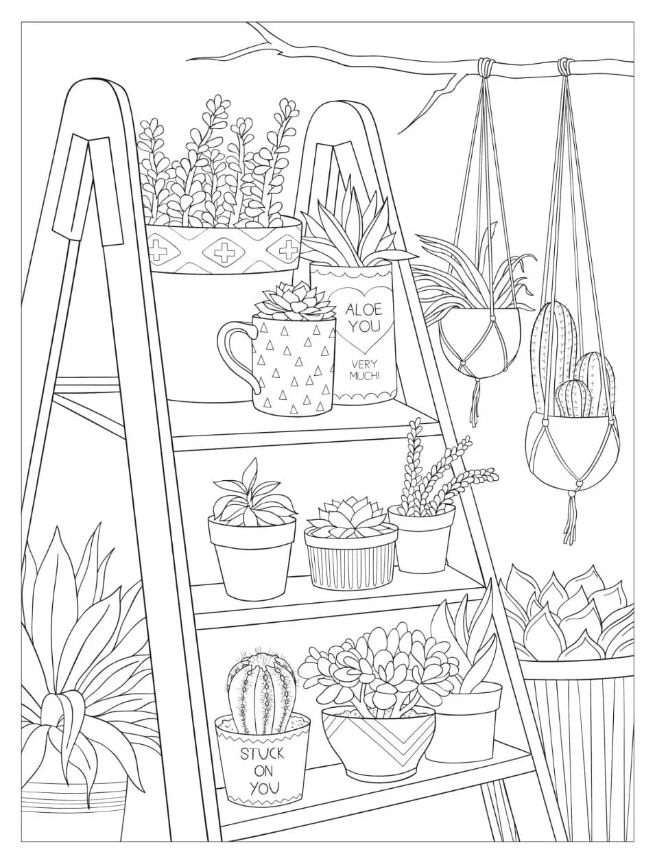 Dibujos para colorear e imprimir Cactus