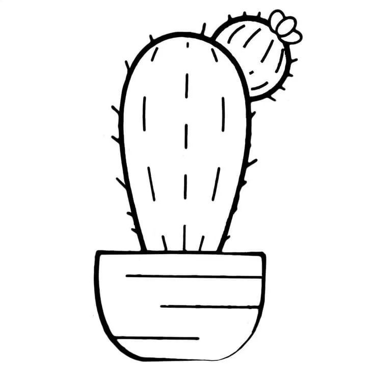 Cactus coloring pages 31