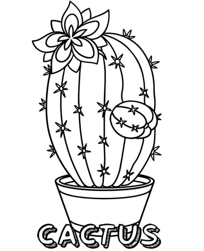 Dibujos para colorear e imprimir Cactus