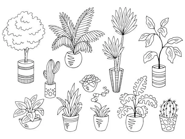 Dibujos para colorear e imprimir Cactus