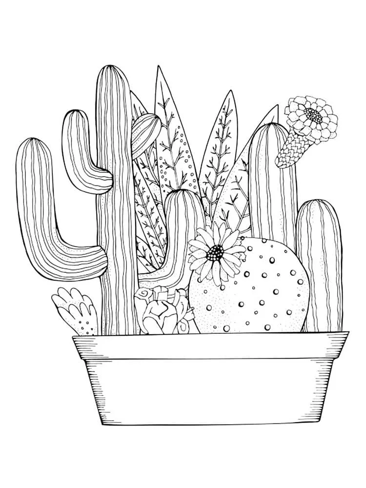 Dibujos para colorear e imprimir Cactus