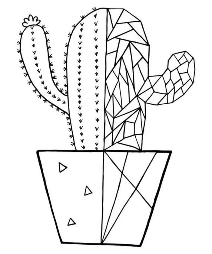 Dibujos para colorear e imprimir Cactus