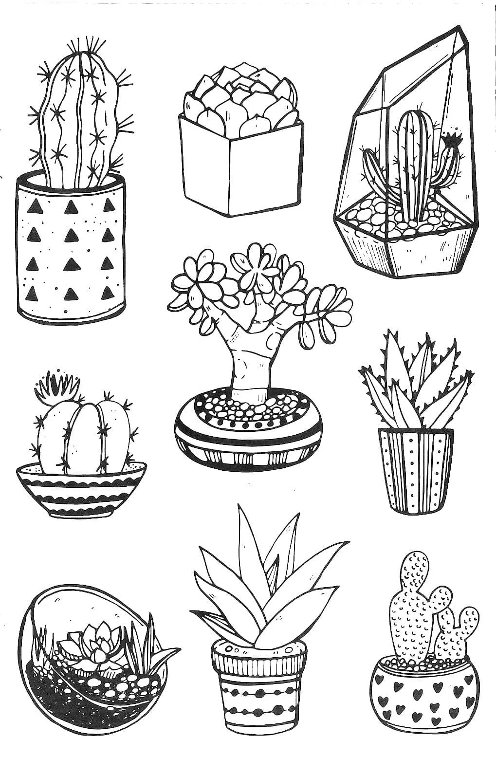 Dibujos para colorear e imprimir Cactus