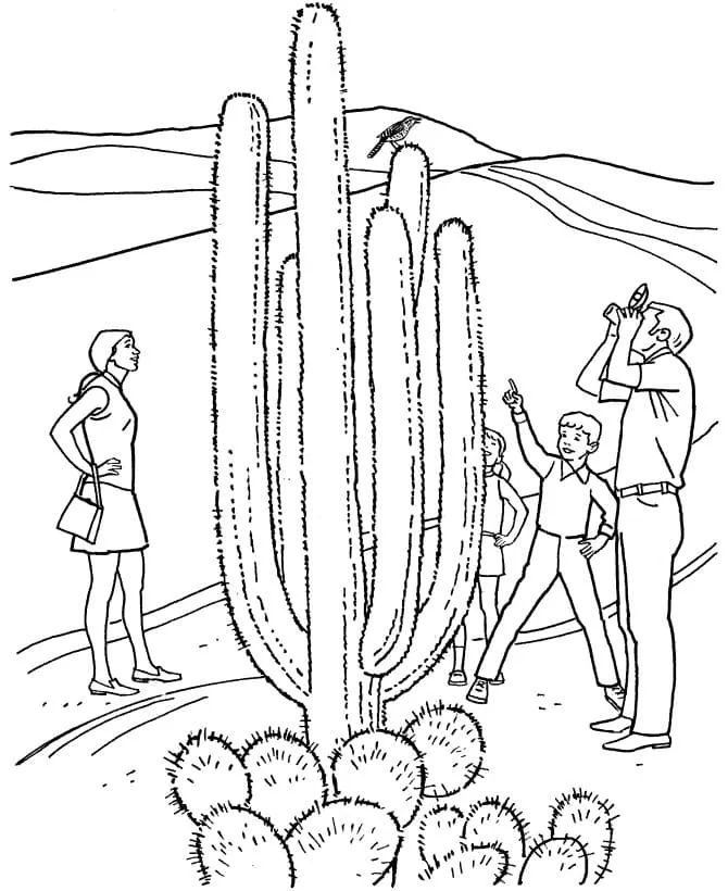 Dibujos para colorear e imprimir Cactus