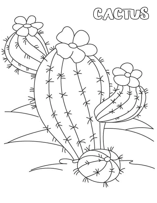 Dibujos para colorear e imprimir Cactus