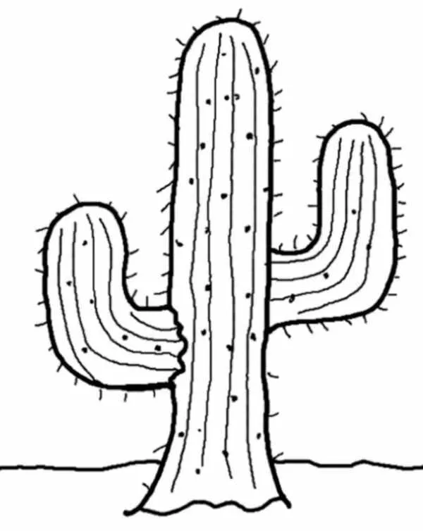 Dibujos para colorear e imprimir Cactus