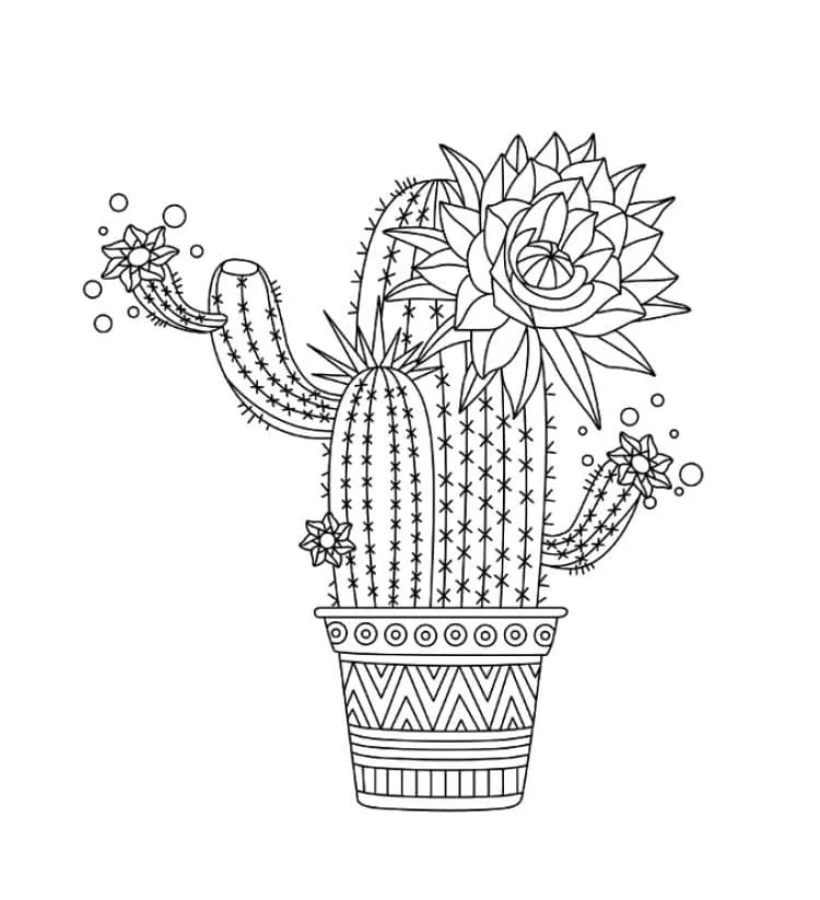 Dibujos para colorear e imprimir Cactus