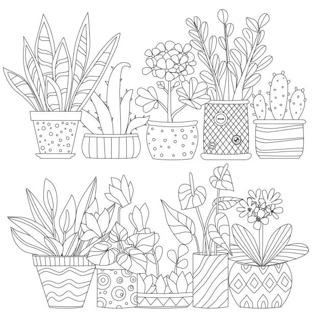 Dibujos para colorear e imprimir Cactus