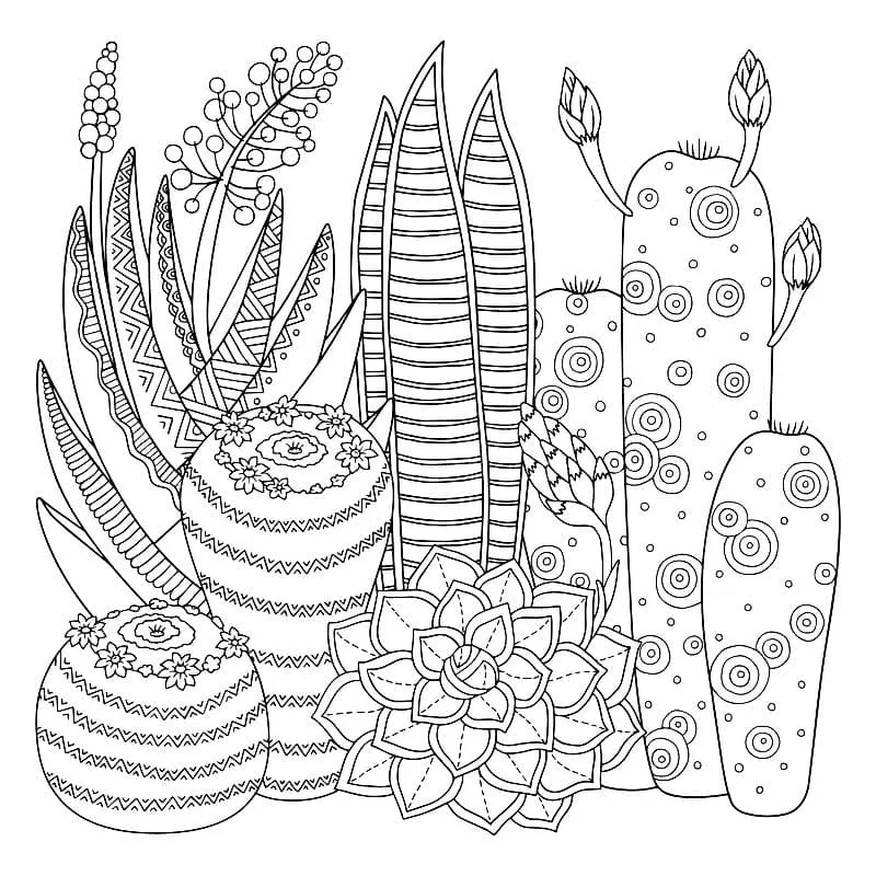 Dibujos para colorear e imprimir Cactus