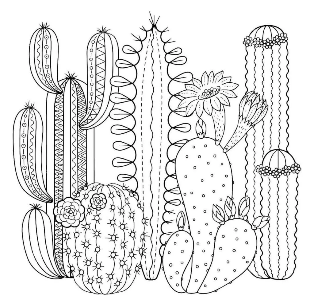 Dibujos para colorear e imprimir Cactus