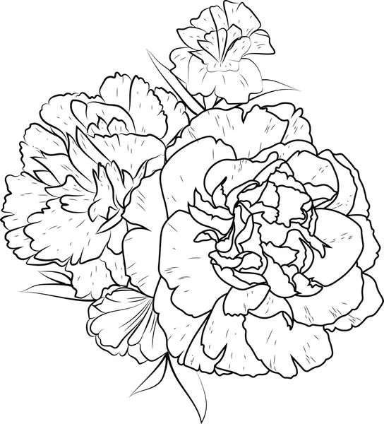 Dibujos para colorear e imprimir Carnation