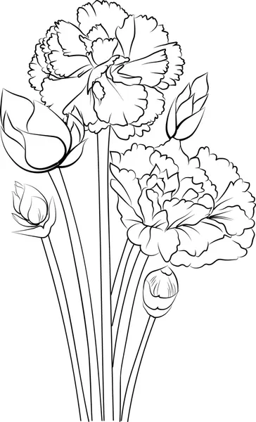 Dibujos para colorear e imprimir Carnation