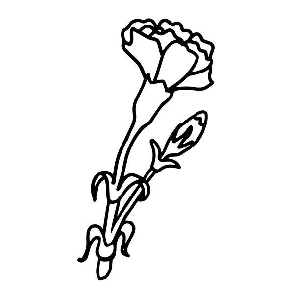 Dibujos para colorear e imprimir Carnation