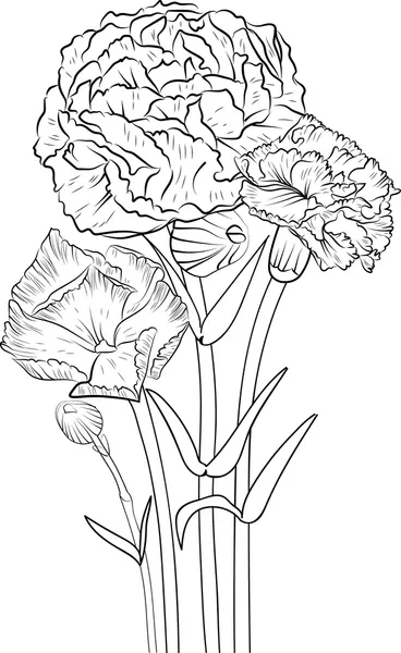 Dibujos para colorear e imprimir Carnation