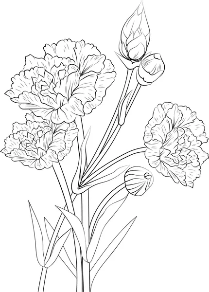 Dibujos para colorear e imprimir Carnation