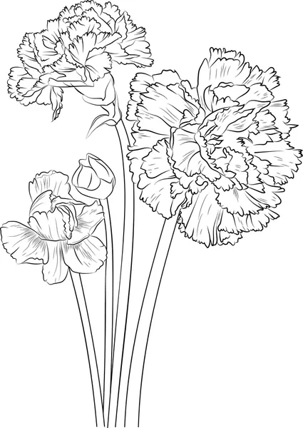 Dibujos para colorear e imprimir Carnation