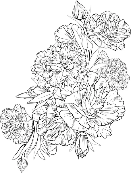 Dibujos para colorear e imprimir Carnation