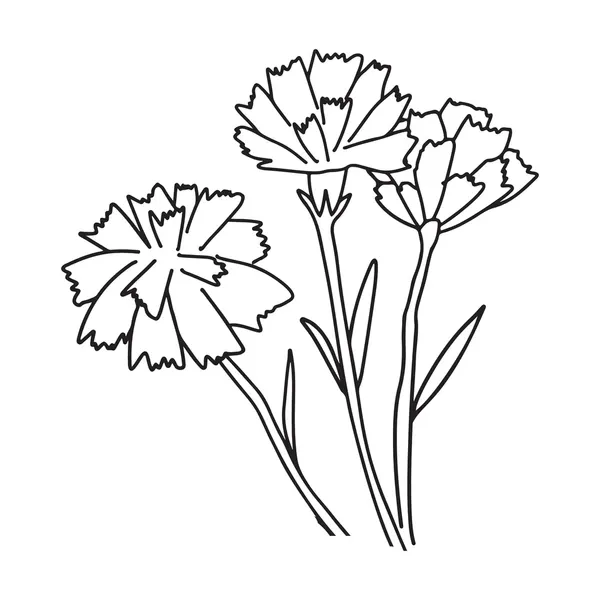 Dibujos para colorear e imprimir Carnation