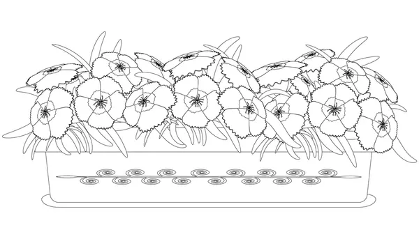 Dibujos para colorear e imprimir Carnation