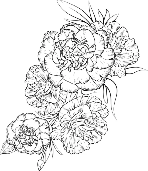 Dibujos para colorear e imprimir Carnation