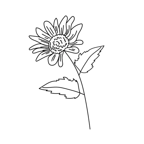 Dibujos para colorear e imprimir Carnation