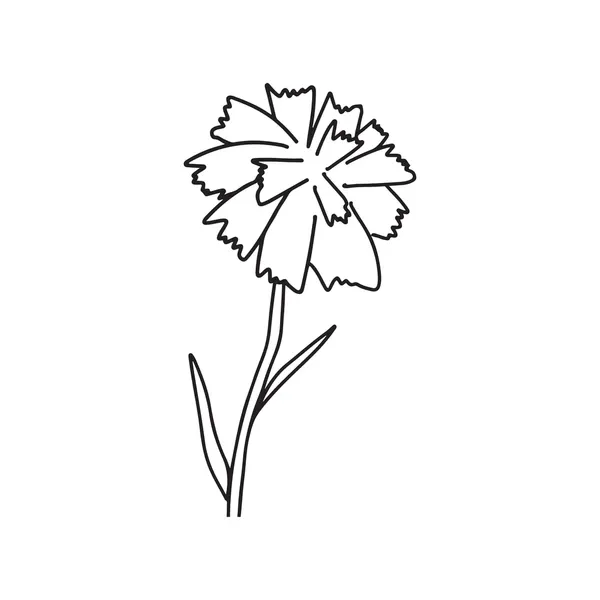 Dibujos para colorear e imprimir Carnation