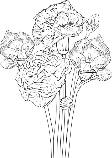 Dibujos para colorear e imprimir Carnation