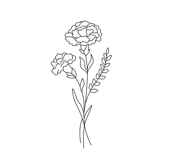 Dibujos para colorear e imprimir Carnation