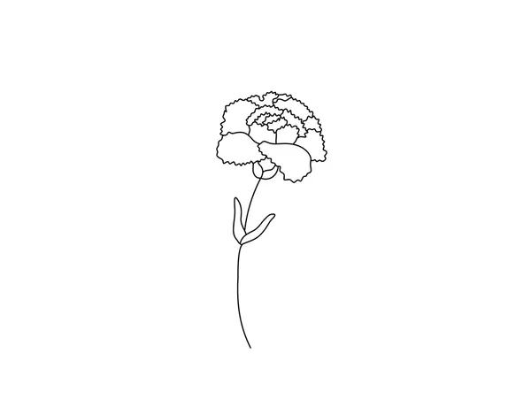 Dibujos para colorear e imprimir Carnation